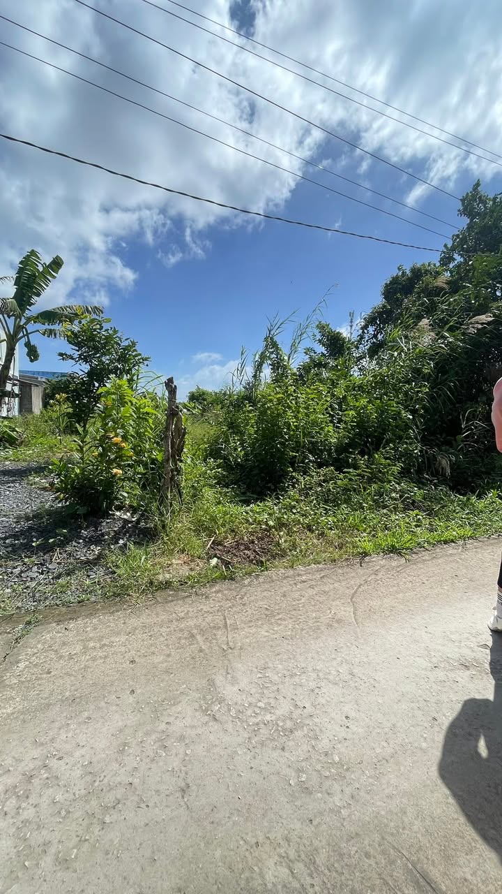 Đất nền mặt tiền hẻm 157 Nam Kỳ Khởi Nghĩa 150m² giá 750 triệu - Chính chủ, sổ đỏ đầy đủ!