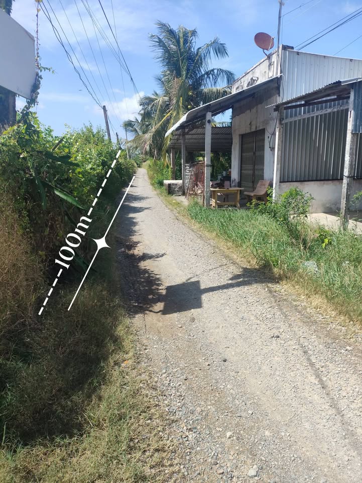 Đất nền 6000m² tại Ngọc Tố - Mỹ Xuyên - Giá 5 tỷ - Đối diện trường học