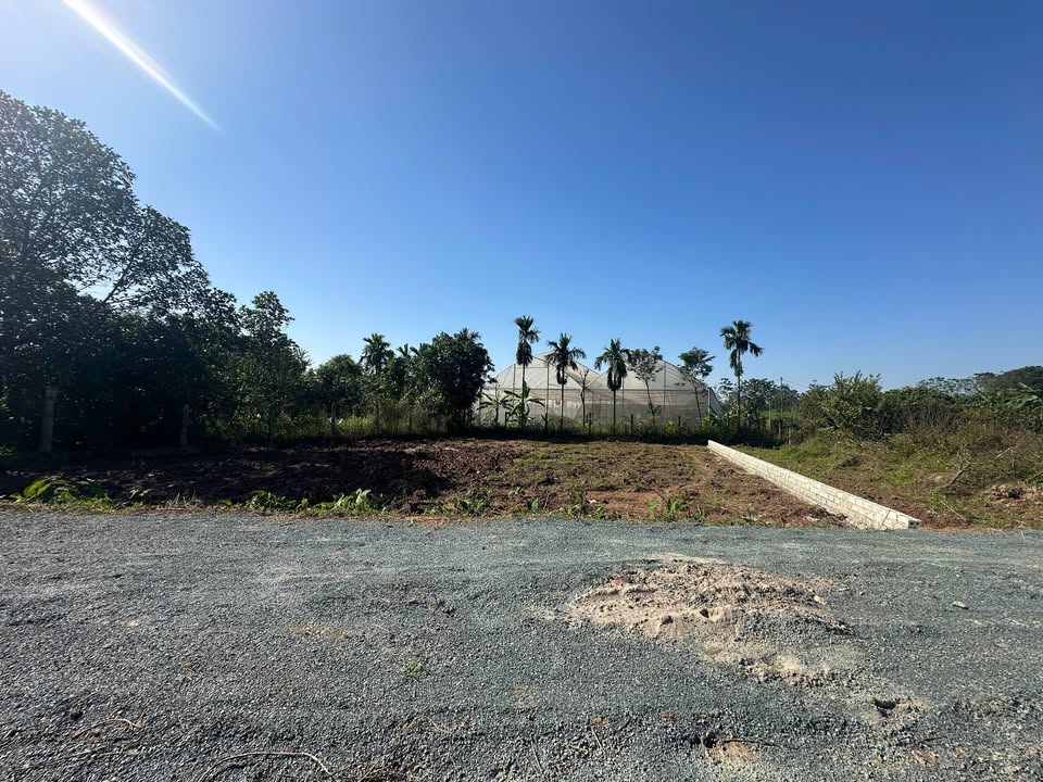 Đất nền Sài Sơn Quốc Oai 462m² giá 3.175 tỷ - Đầu tư sinh lời ngay!