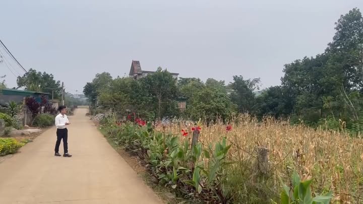 Đất thổ cư 400m² tại Nho Quan, Ninh Bình - Phù hợp xây homestay nghỉ dưỡng!