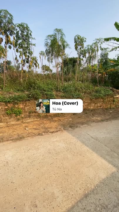 Đất nền Phú Hộ, Phú Thọ 88m² giá 700 triệu - Cơ hội đầu tư sinh lời!