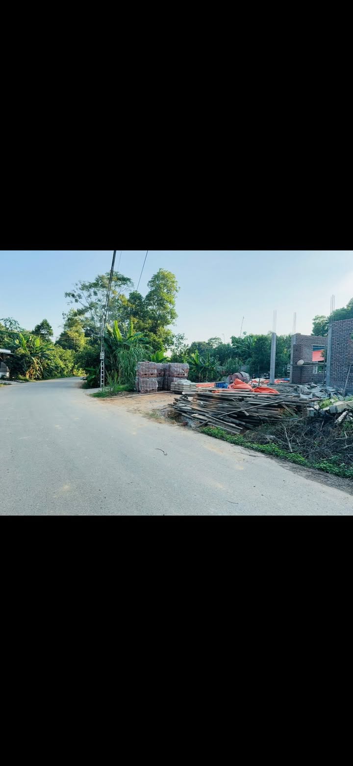 Đất mặt đường nhựa Phường Phong Châu 124m² giá chỉ 2 tỷ - Cơ hội đầu tư tuyệt vời!