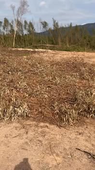 Đất nền Nhơn Tân, An Nhơn 200m² giá chỉ 4xx triệu - Cơ hội đầu tư hấp dẫn!