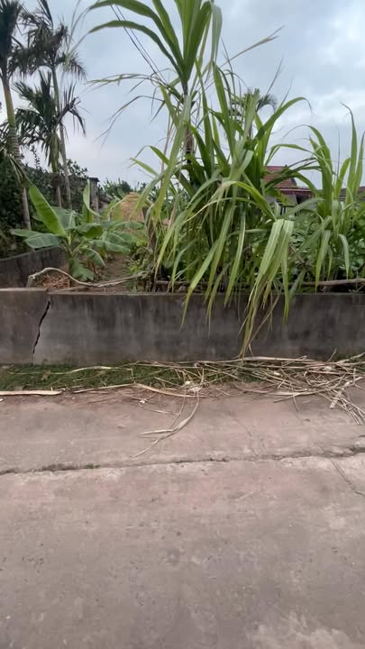 Đất thổ cư Nghĩa Phú 324m² giá 500 triệu - Cơ hội vàng cho đầu tư!