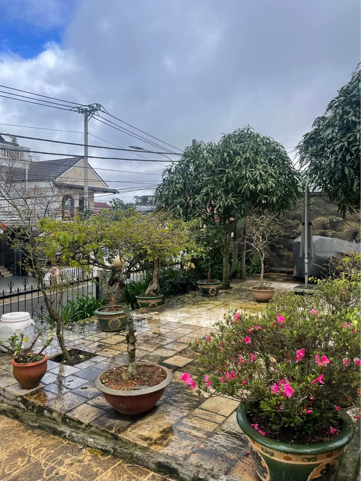 Villa cho thuê mặt tiền đường Bạch Đằng, Đà Lạt - Diện tích 300m², giá 20 triệu/tháng - Thích hợp kinh doanh đa ngành!