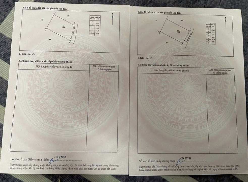 Đất nền chính chủ tại Tân Lập 318m² giá 1.6 tỷ - Đầu tư sinh lời ngay!