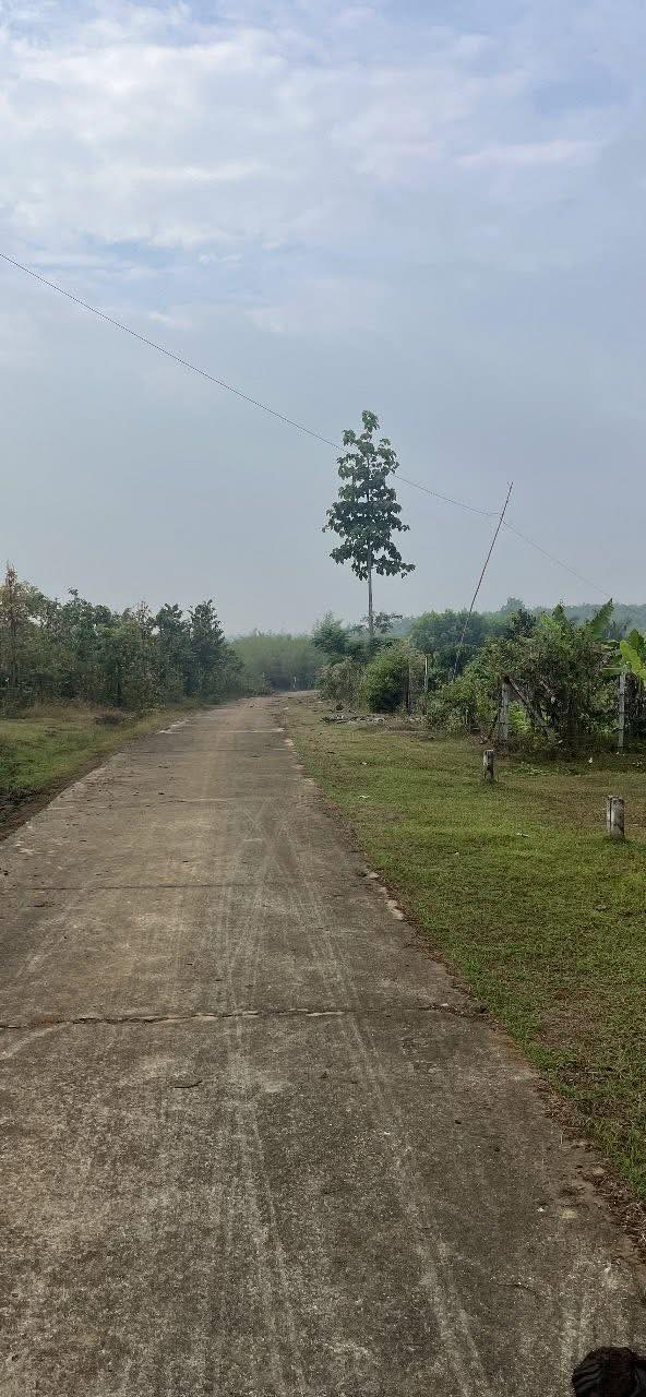 Đất nền Lộc Hưng 3600m² giá 220 triệu - Pháp lý rõ ràng, mặt tiền bê tông!