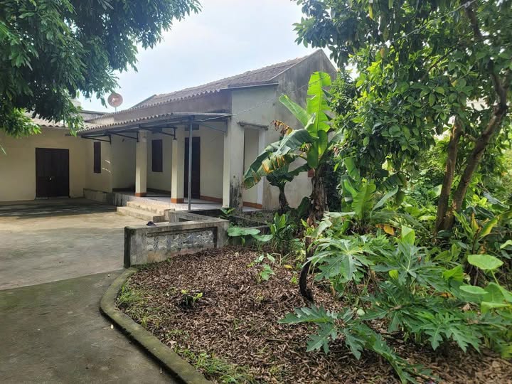 Đất nền Bỉm Sơn 880m² giá 1 tỷ - Cơ hội đầu tư biệt thự nhà vườn!