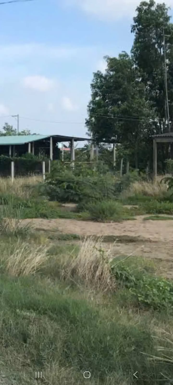 Đất nền mặt tiền Nguyễn Quang Đại 826m² giá chỉ 1 tỷ - Cơ hội đầu tư hiếm có!