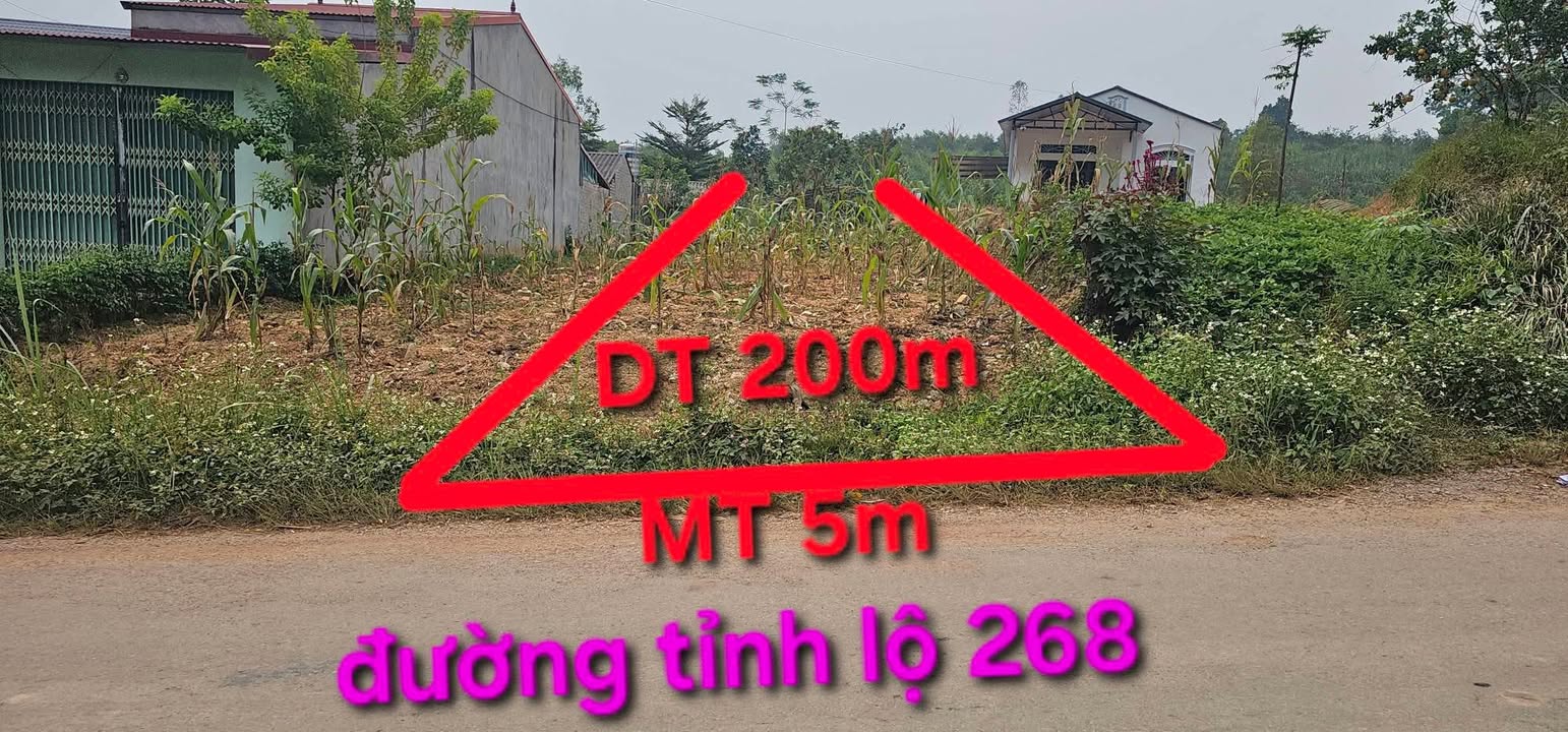 Đất ở Đồng Vương, Yên Thế 200m² giá thỏa thuận - Tiềm năng tăng giá mạnh!