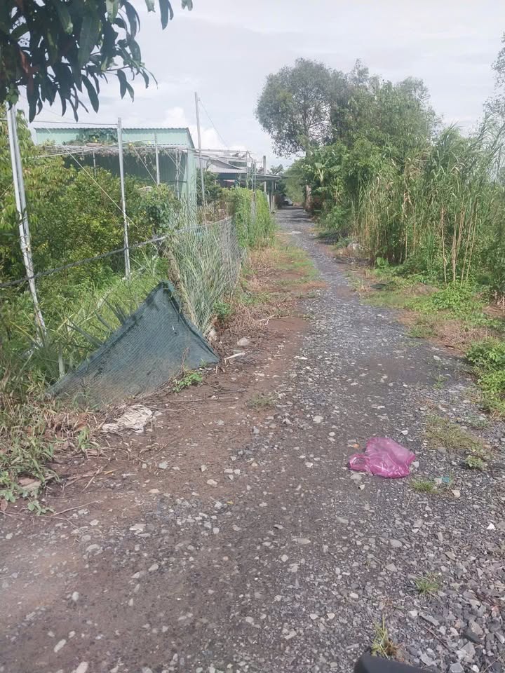 Bán đất Vĩnh Thới, Lai Vung, 700m² giá 380 triệu - Đường ô tô vào tận nơi!