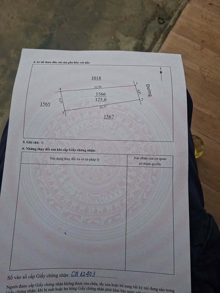 Đất thổ cư Hưng Mỹ 125m² giá 1 tỷ - Cơ hội đầu tư hấp dẫn!