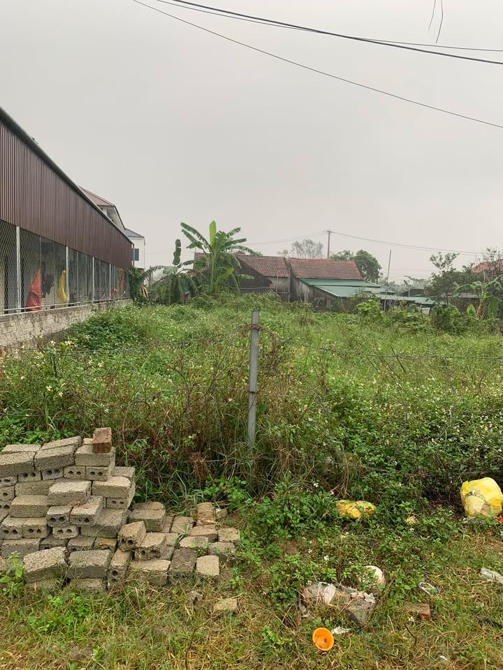 Đất nền Hưng Đạo, Hưng Nguyên 203,4m² - Sổ đỏ chính chủ, cơ hội đầu tư tuyệt vời!