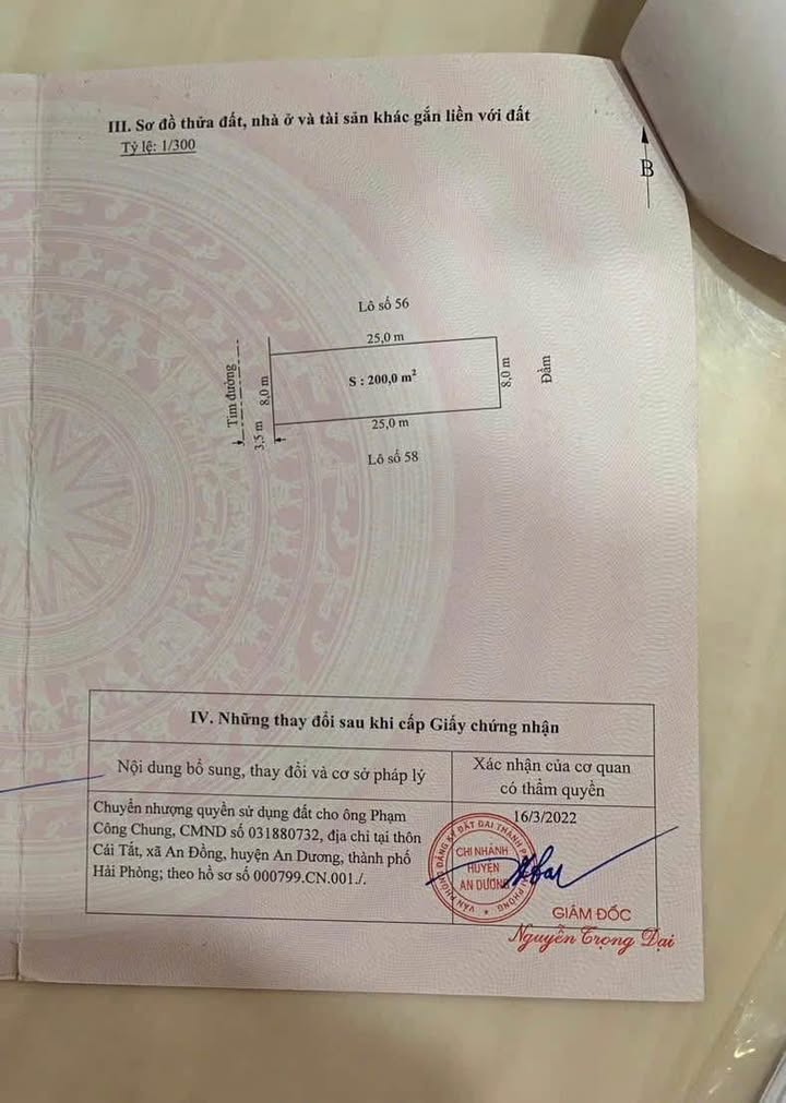 Đất Bạch Mai - Đồng Thái, An Dương 200m² giá 5.6 tỷ - Cơ hội đầu tư tốt!