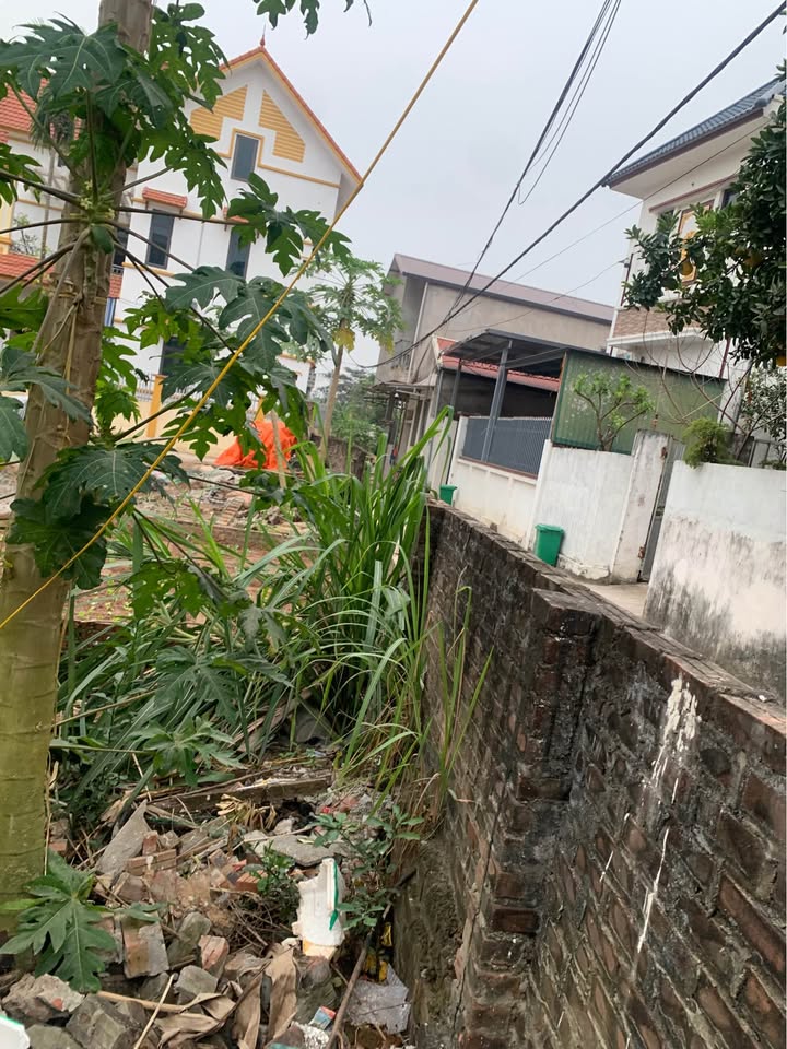 Đất 2 mặt tiền 74.2m² tại Xóm 3, Đại Thành - Cơ hội đầu tư tuyệt vời!