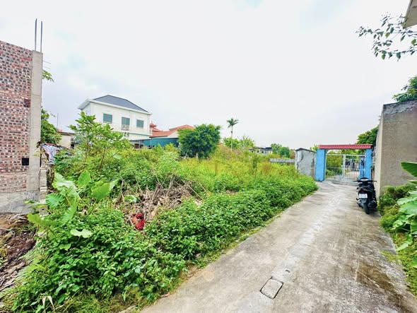 Đất nền thôn Giang Khẩu, xã Đại Thắng, huyện Tiên Lãng 306m² - Vị trí đắc địa, giá thỏa thuận!