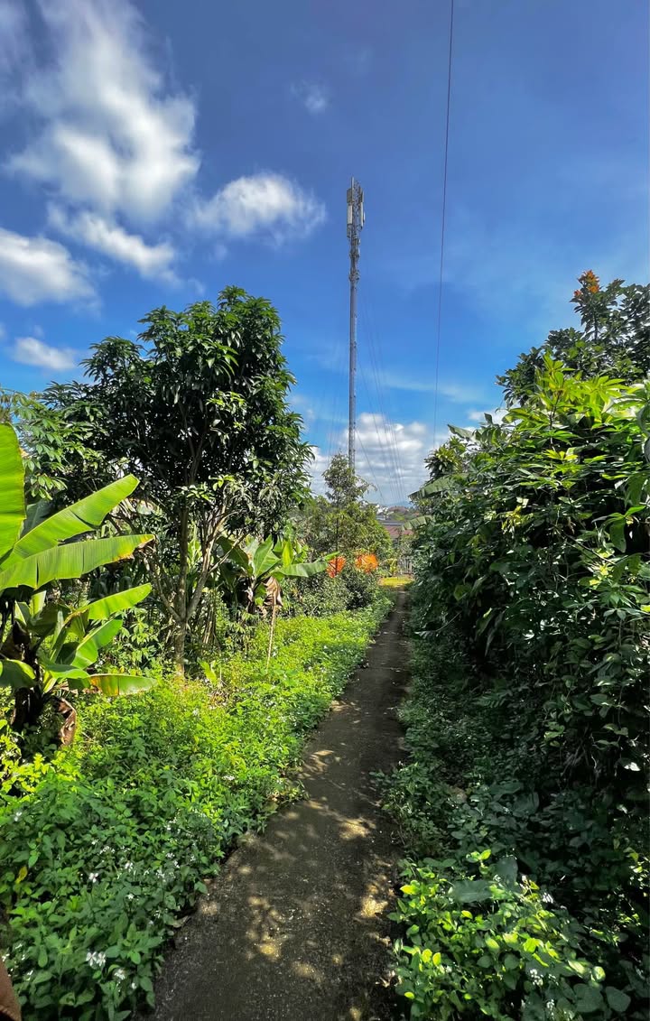 Đất nền Bảo Lộc 560m² giá 6.2 tỷ - Đường rộng, vị trí đẹp!