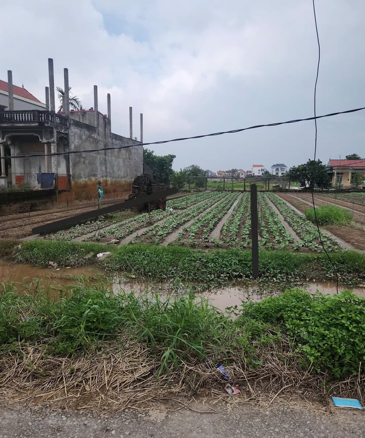 Đất giãn dân Minh Tân - Phú Xuyên 200m² giá chỉ 1x triệu/m² - Cơ hội đầu tư tuyệt vời!