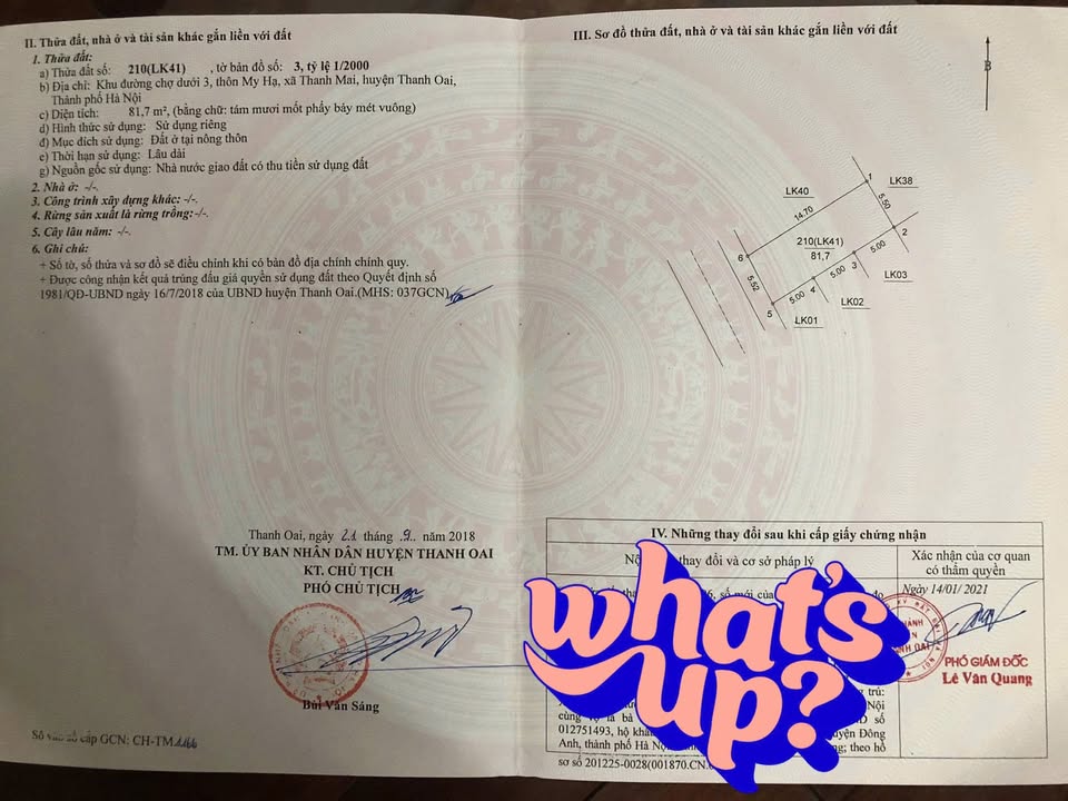 Đất nền khu đấu giá My Hạ, xã Thanh Mai, 81m² giá 8.17 tỷ - Cơ hội đầu tư hấp dẫn!