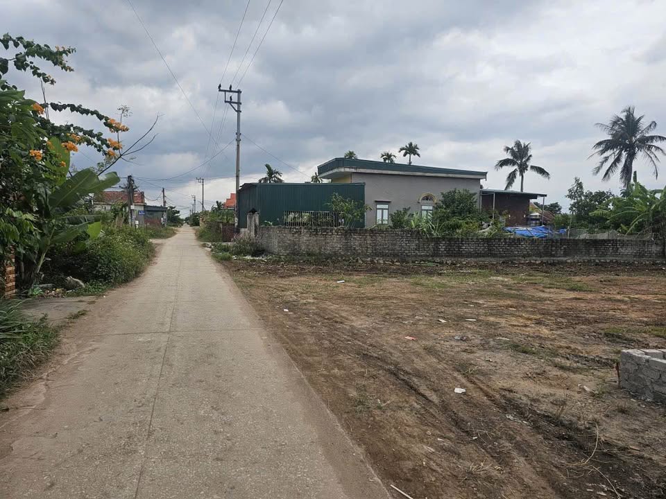 Đất nền dự án Vinhome Hạ Long Xanh 246m² giá chỉ từ 20 triệu/m - Cơ hội đầu tư hấp dẫn!