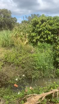 Đất nền 10,000m² xã Ea M'Droh, Cư M'gar, Đắk Lắk - Giá chỉ 2.1 tỷ VND, cơ hội đầu tư tuyệt vời!