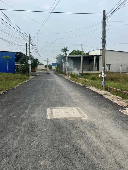 Đất nền liên kề 150m² tại Đức Hòa Hạ - Giá chỉ 2.3 tỷ, cơ hội đầu tư tuyệt vời!