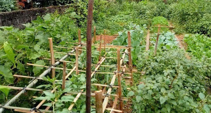 Lô đất An Tường Tuyên Quang 58m² giá 2 tỷ - Cơ hội đầu tư tuyệt vời!