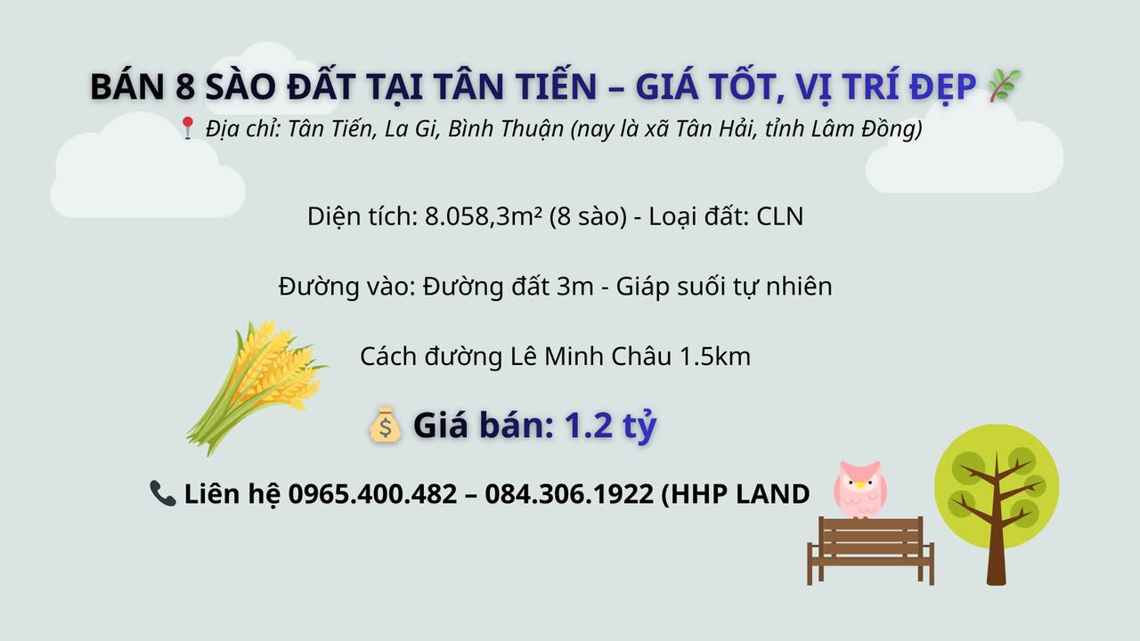Đất Farm Tân Tiến, La Gi 8058m² giá 1.2 tỷ - Cơ hội đầu tư sinh lời!