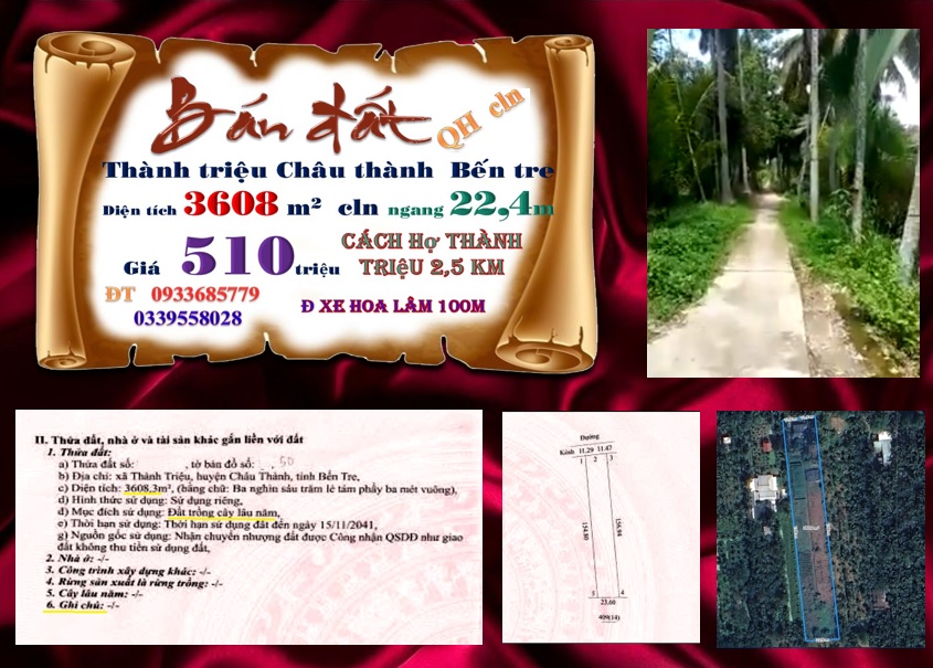 Bán đất vườn Thành Triệu, Châu Thành, Bến Tre 3608m² - Giá chỉ 1.84 tỷ!