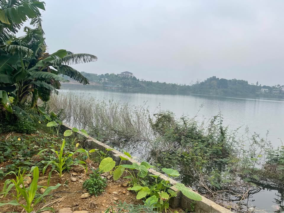 Đất nền 1.116m² xã Liên Sơn, Lương Sơn - View hồ Đồng Chanh đẹp mắt!