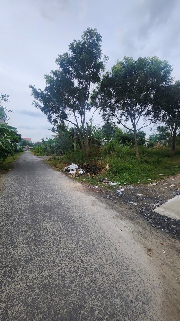 Nhà cấp 4 Hẻm 33 Trịnh Phong Đáng, 90m² giá 1.068 tỷ - Nhà mới, sẵn sàng vào ở!