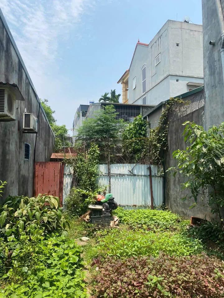 Đất nền Đồng Tiến, Hòa Bình 100m² giá chỉ 1 tỷ - Pháp lý rõ ràng!