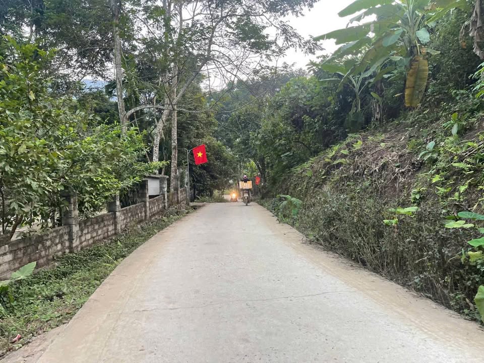 Đất Farm 8080m² tại Bình Thanh, Cao Phong - Giá chỉ 3 tỷ VND, đầu tư sinh lời!