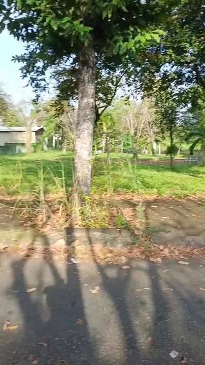 Đất nền KDC Lợi Bình Nhơn 80m² giá 1.3 tỷ - Gần công viên mát mẻ!