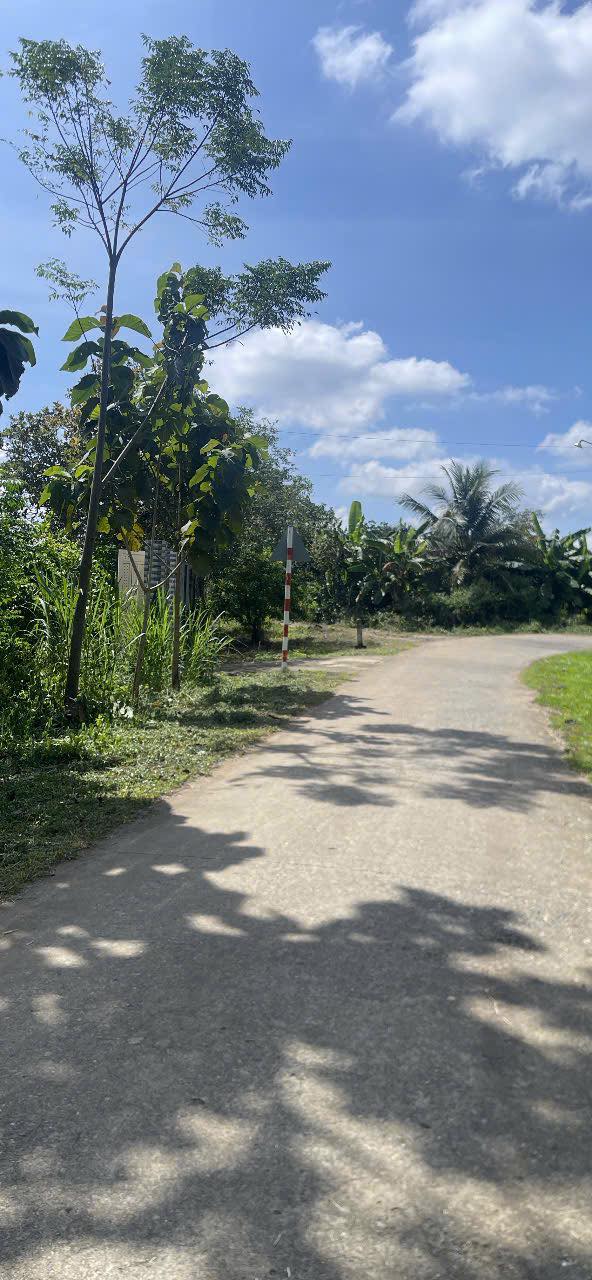 Đất nền Phú Hòa, Phú Tân 1026m² giá 650 triệu - Đường bê tông, khu dân cư sầm uất!