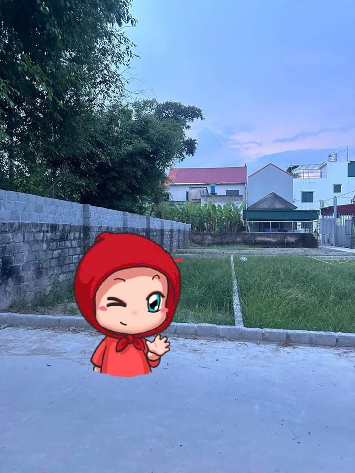 Đất Hồng Vân 48m² giá 3 tỷ - Ô tô vào tận nơi!