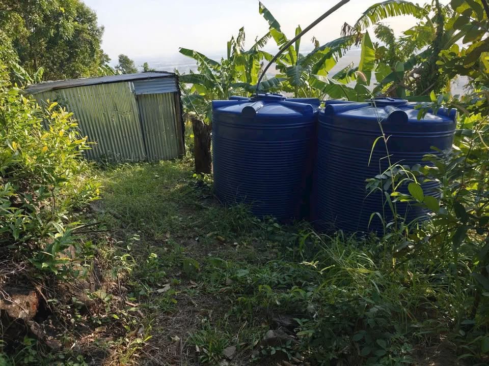 Farm đất rừng Núi Cấm, Tịnh Biên 47.000m² giá 376 triệu - Cơ hội đầu tư hấp dẫn!