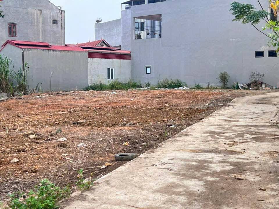 Đất thổ cư Mai Pha Lạng Sơn 75m² giá chỉ 1 tỷ - Tiềm năng sinh lời vượt trội!