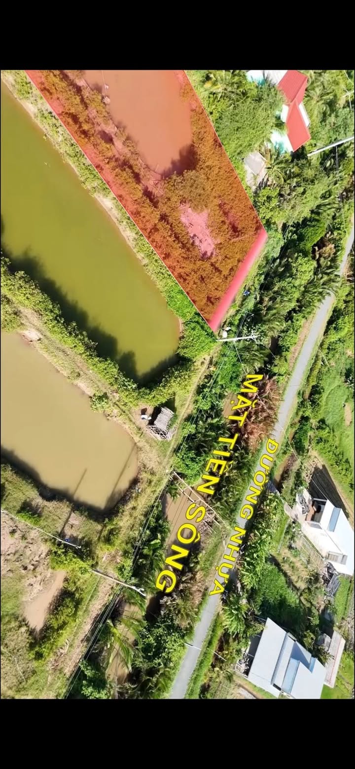 Đất nuôi tôm 8000m² tại Ấp 11, Trà Vinh - Giá chỉ 800 triệu