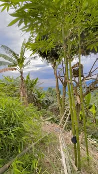 Đất nền Duy Nghĩa 390m² giá 3.5 tỷ - Sổ đỏ chính chủ, thương lượng!