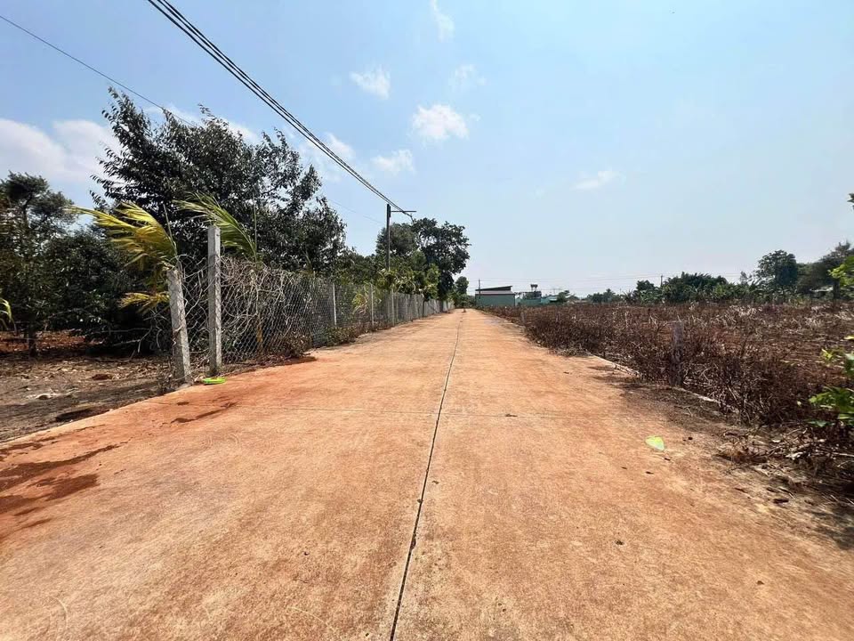 Đất thổ cư Cư Suê 225m² giá 450 triệu - Đường bê tông rộng rãi!