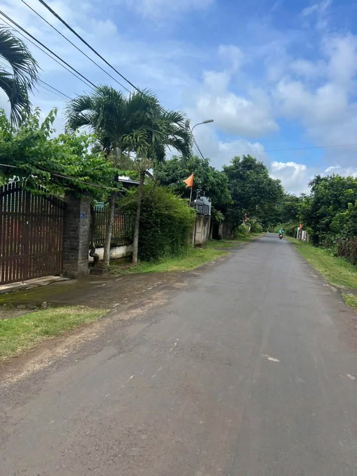 Đất mặt tiền kinh doanh phường Ea Tam - 192m² giá 1.98 tỷ - Cơ hội đầu tư hấp dẫn!