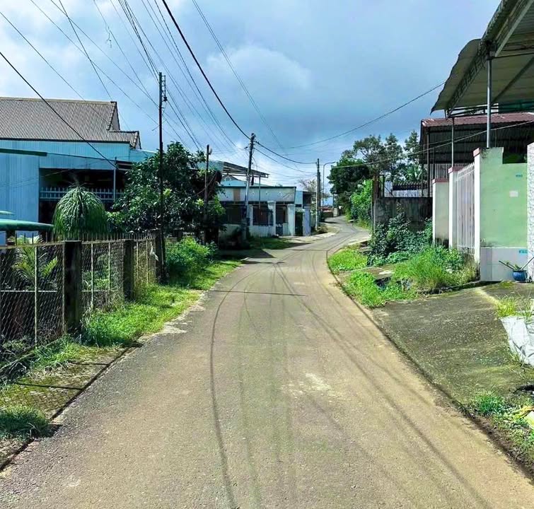 Nhà vườn 1100m² đường Hải Thượng Lãn Ông, Bảo Lộc - Giá chỉ 6.9 tỷ!