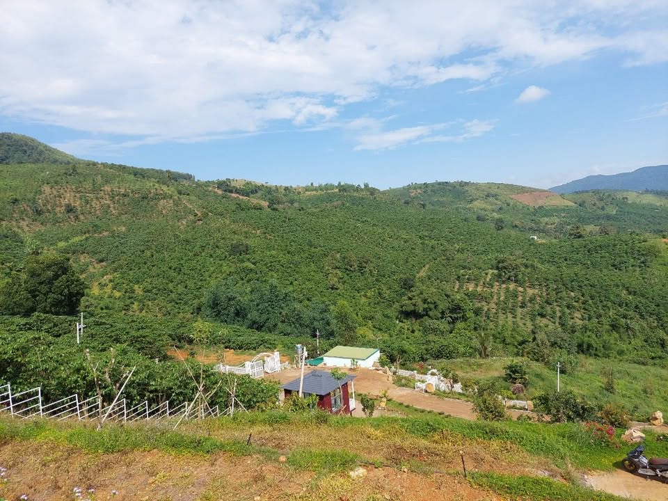 Đất mặt tiền đường Mai Trúc Loan Bảo Lộc 6400m² - Chính chủ bán gấp!