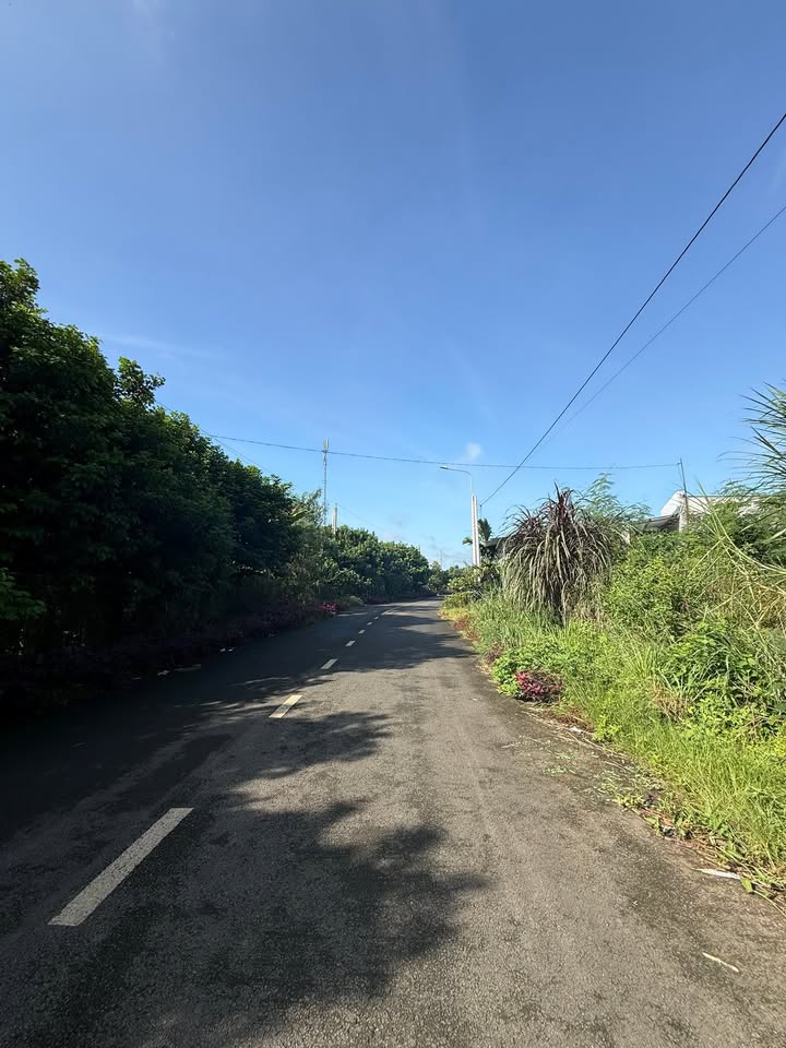 Đất mặt tiền đường Trương Công Định, xã Trà Cổ, 1156m² giá 11.56 tỷ - Đầu tư sinh lời bền vững!