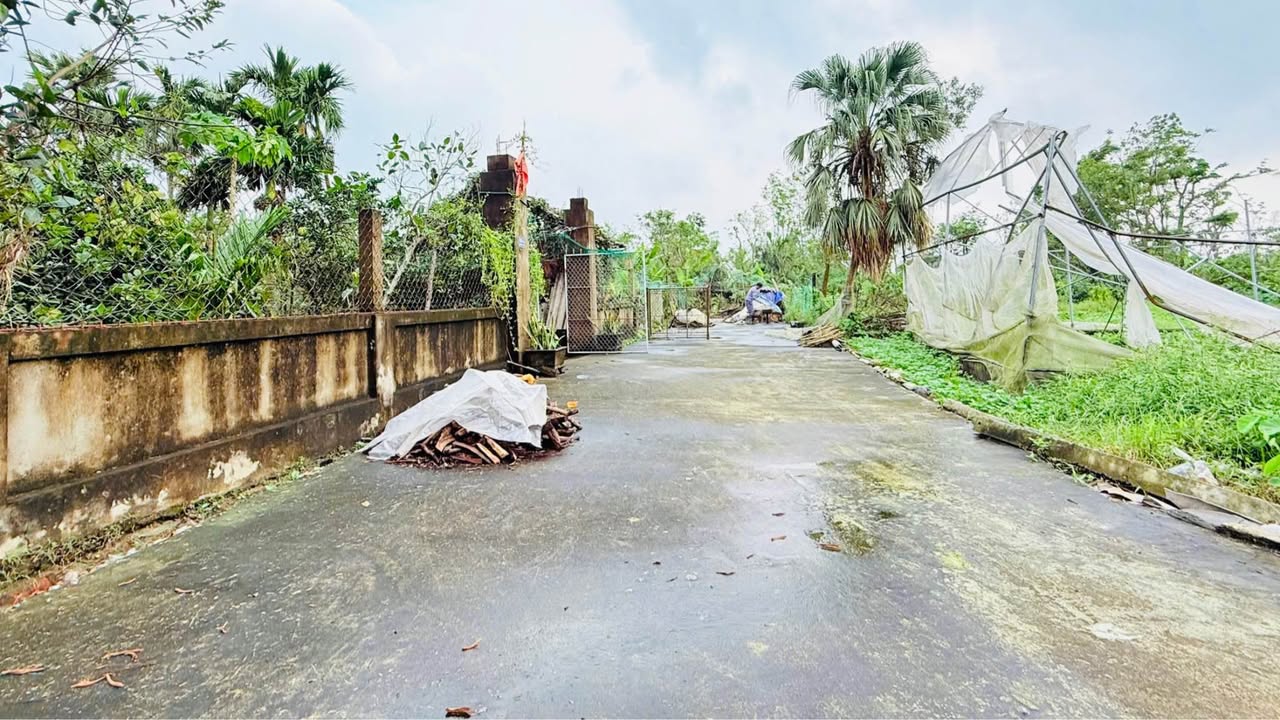 Đất Thổ Cư Thôn Liên Thanh, Thạch Hạ 149.6m² giá 1.6 tỷ - Gần trường học, ủy ban!