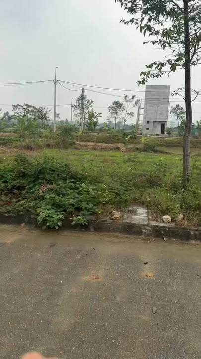 Đất nền Đông Phú, Đông Sơn, Thanh Hóa 100m² giá chỉ 1.1 tỷ - Vị trí trung tâm đắc địa!