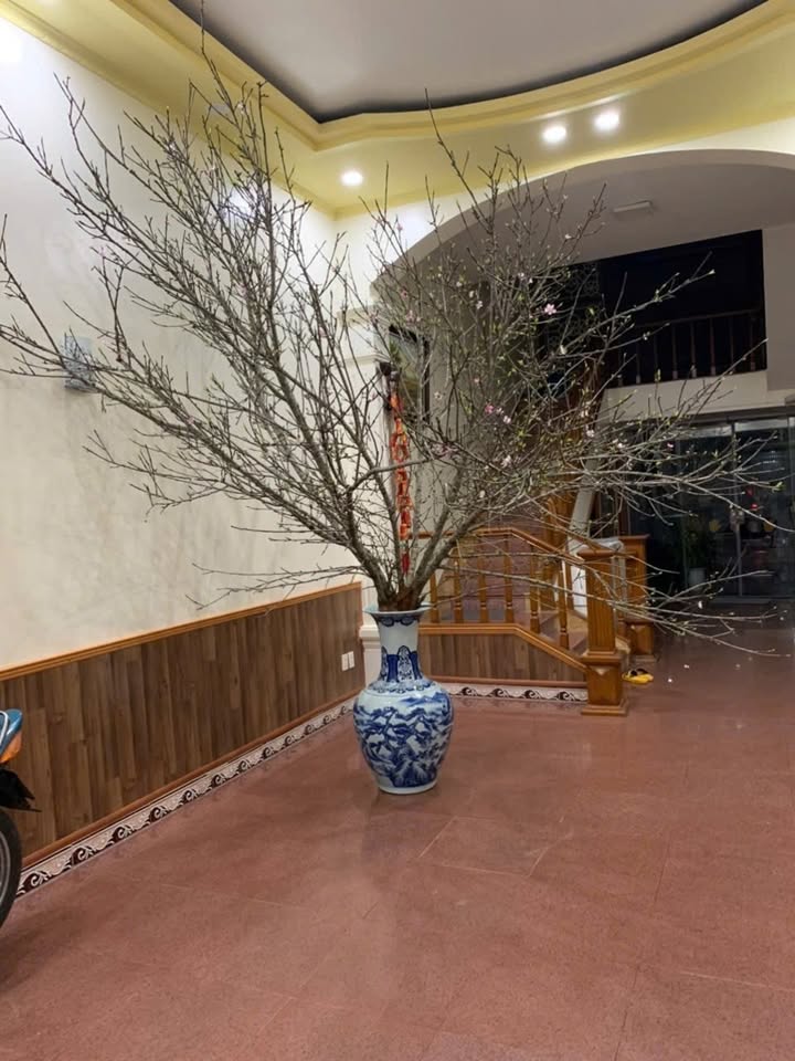 Nhà mặt phố Văn Cao, Hải Phòng 90m² giá 25 triệu - Kinh doanh sinh lời cao!