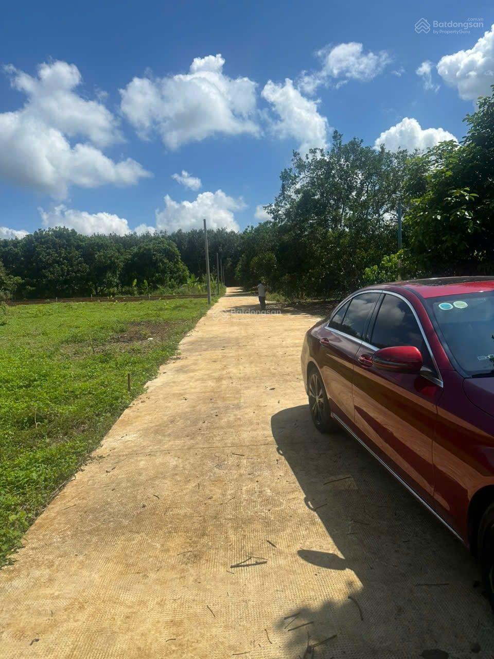 Đất thổ cư 154m² tại Dầu Giây chỉ 585 triệu - Sổ hồng riêng, hỗ trợ 80%!