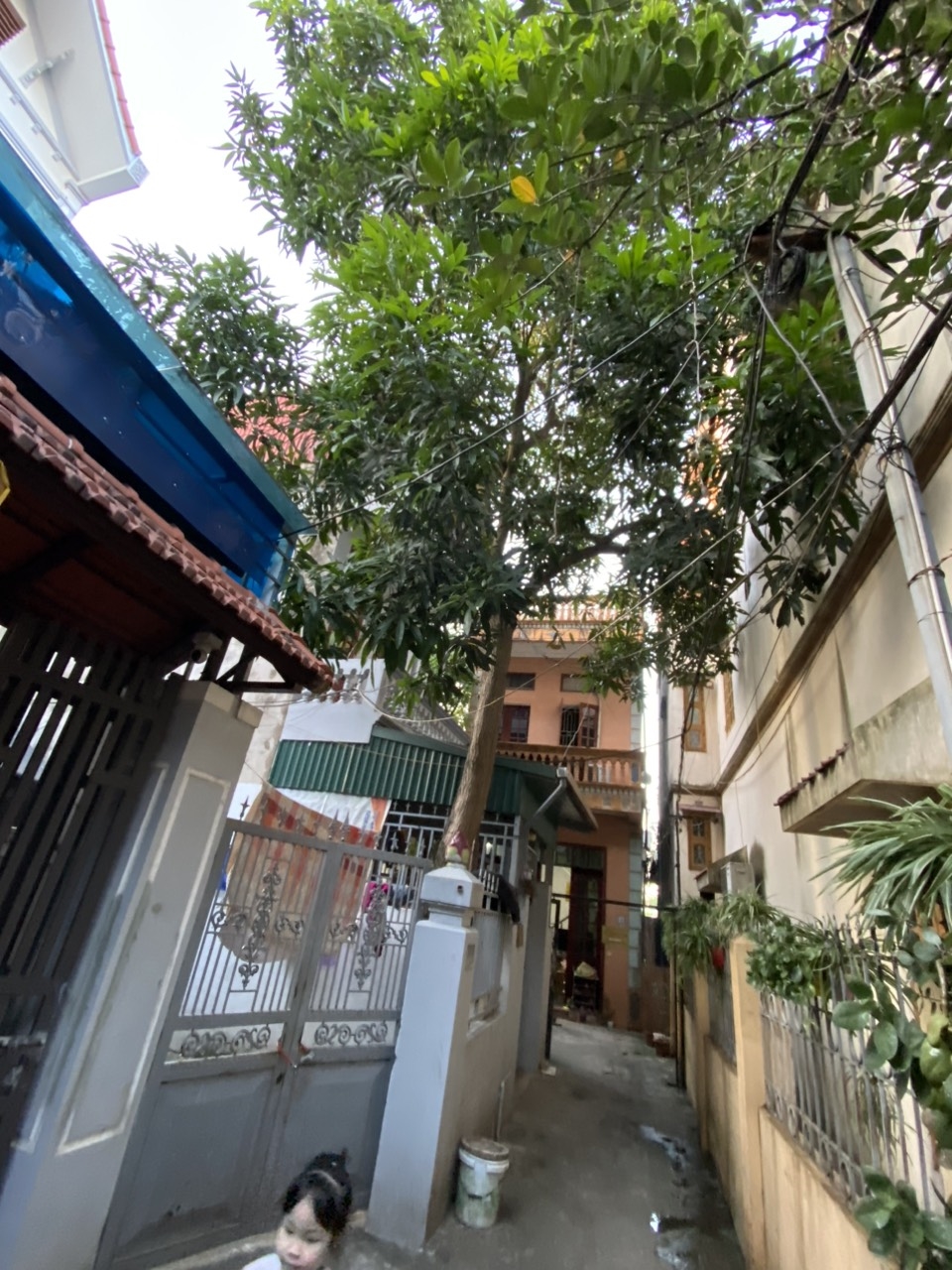 Nhà cho thuê lâu dài tại phố Thanh Am, Long Biên, 70m² - An ninh tốt, khu vực yên tĩnh!